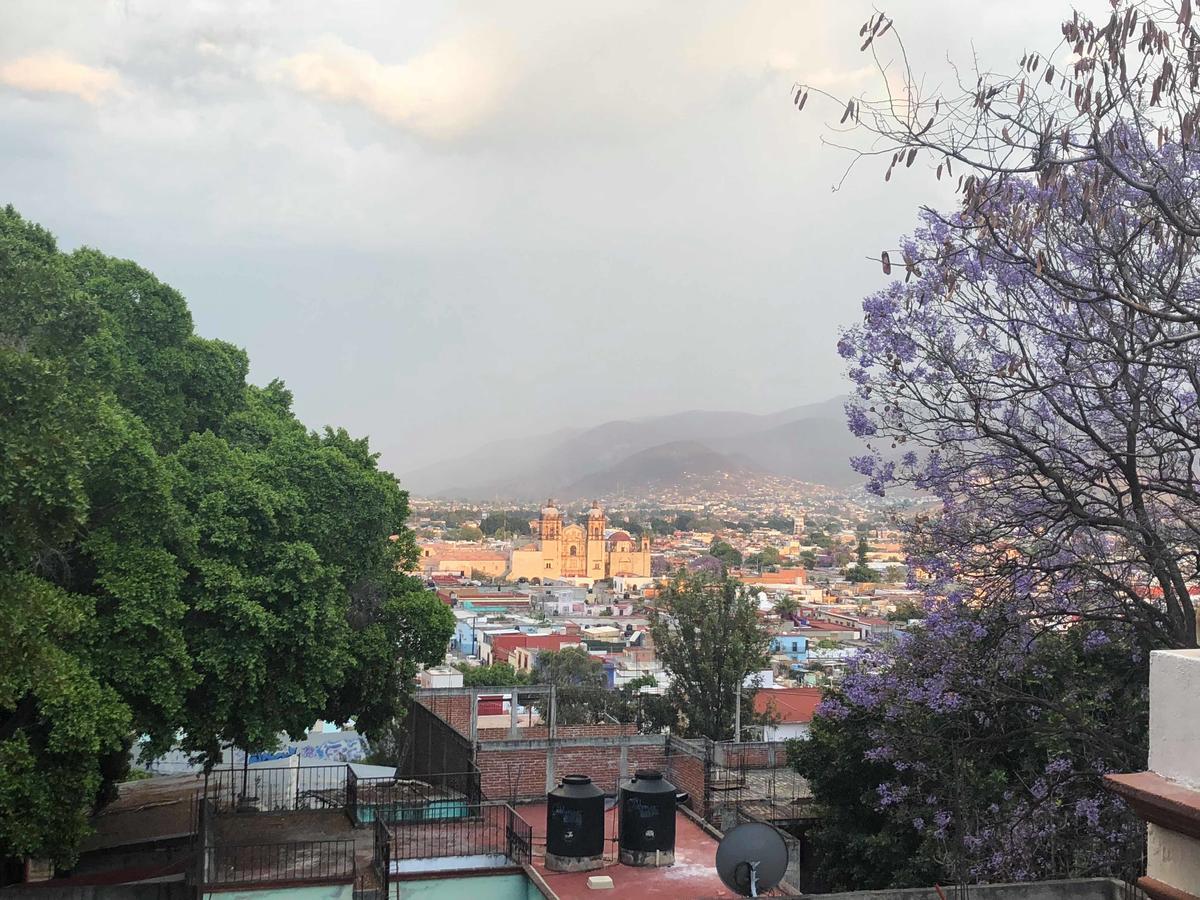 Casa Frida B&B Oaxaca Luaran gambar